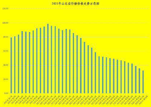 山东生猪最新猪价动态分析